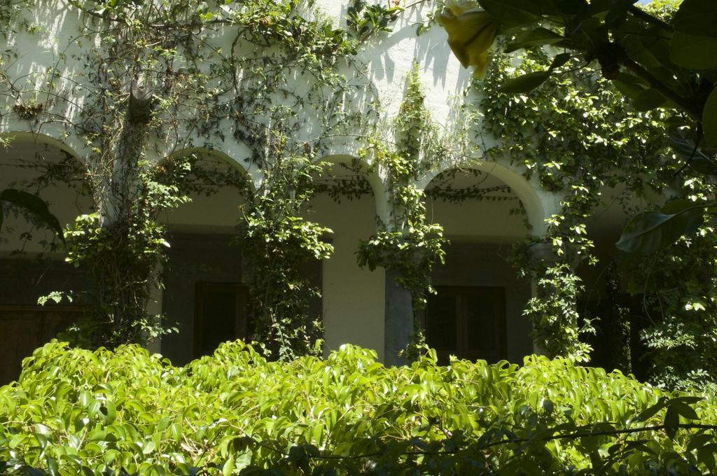 Casa Mision De San Miguel Hotel San Miguel de Allende Buitenkant foto